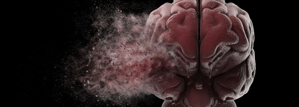 Zonas del cerebro que afectan las drogas